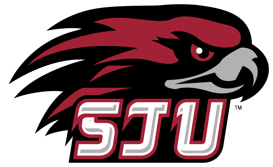 St. Joseph's Hawks 2002-2007 Secondary Logo iron on transfers for T-shirts